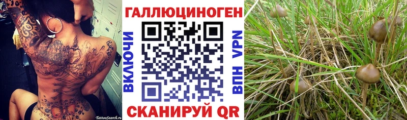Галлюциногенные грибы Magic Shrooms Воткинск