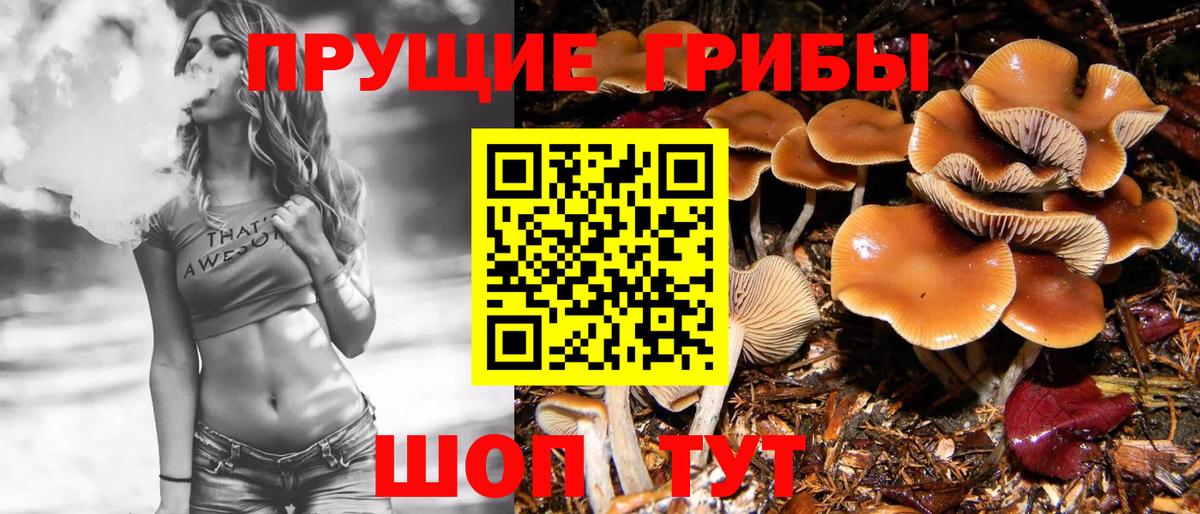 Воткинск  Галлюциногенные грибы Magic Shrooms  Галлюциногенные грибы прущие грибы  Вход с VPN 